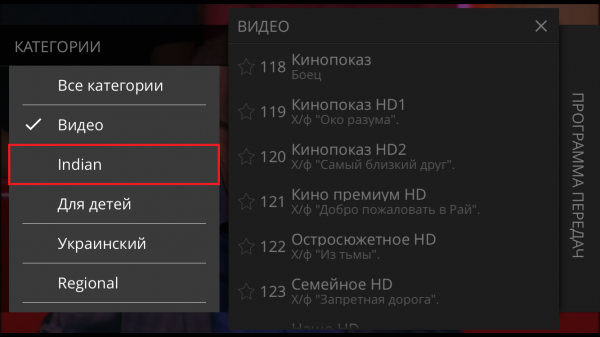 Stalkertv IOS телеканалы выбор категории.png