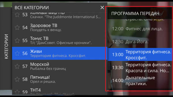 Stalkertv IOS телепрограмма просмотр.png